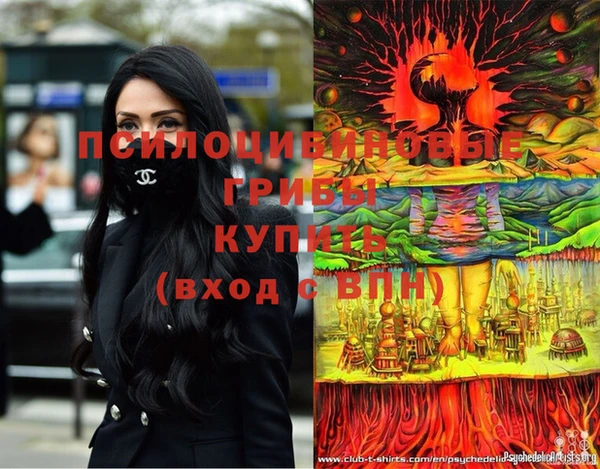 молекула духа Алексин