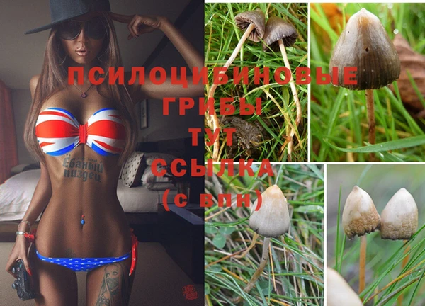 молекула духа Алексин