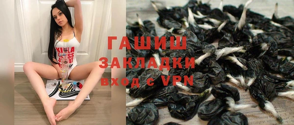 стафф Россошь