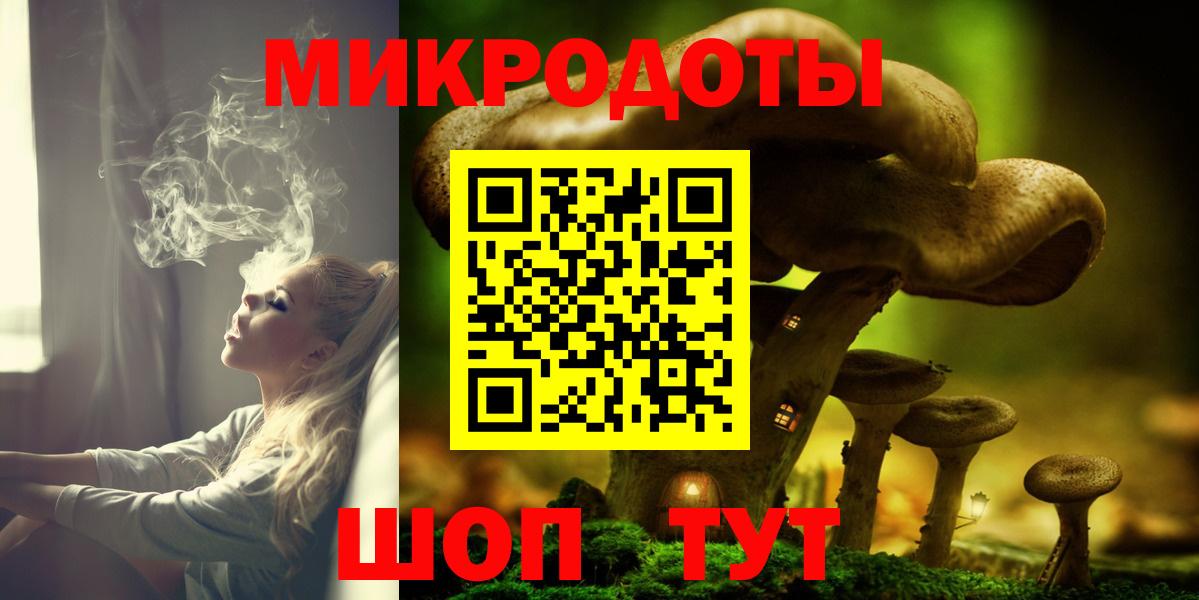 Псилоцибиновые грибы мицелий Тара
