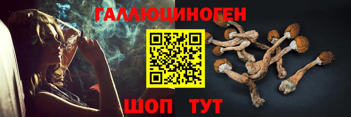 Кокаин  Тара  Вход с VPN  Мефедрон   Бошки Шишки  ГАШИШ 