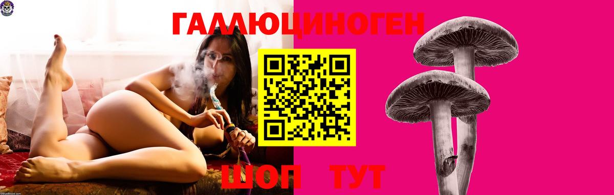 Тара  Галлюциногенные грибы мицелий  цена   Вход с VPN 
